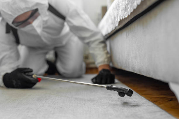Professional Bed Bug Control technician working in Jefferson, LA