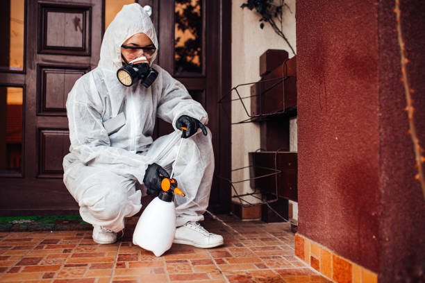 Reliable Bed Bug Control contractor in Jefferson, LA by Nex Pest Control