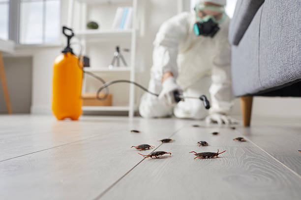 Trusted Cockroach Control service in Jefferson, LA - Nex Pest Control