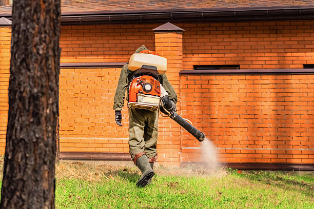 Trusted Bed Bug Control service in Jefferson, LA - Nex Pest Control